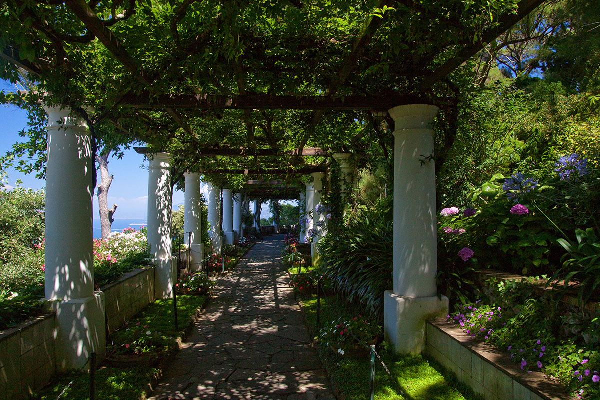 Capri jardin